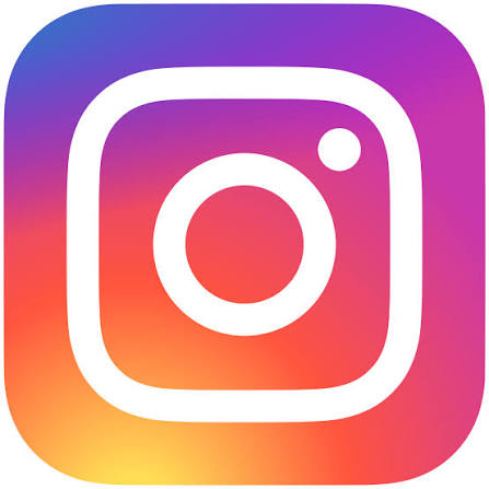 Instagram Transcriptor API logo